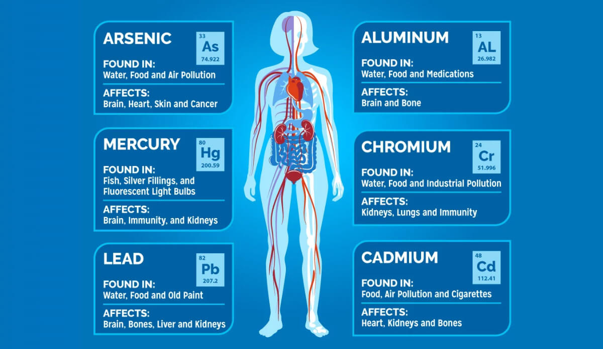 body toxin chart 2 xgagihqg
